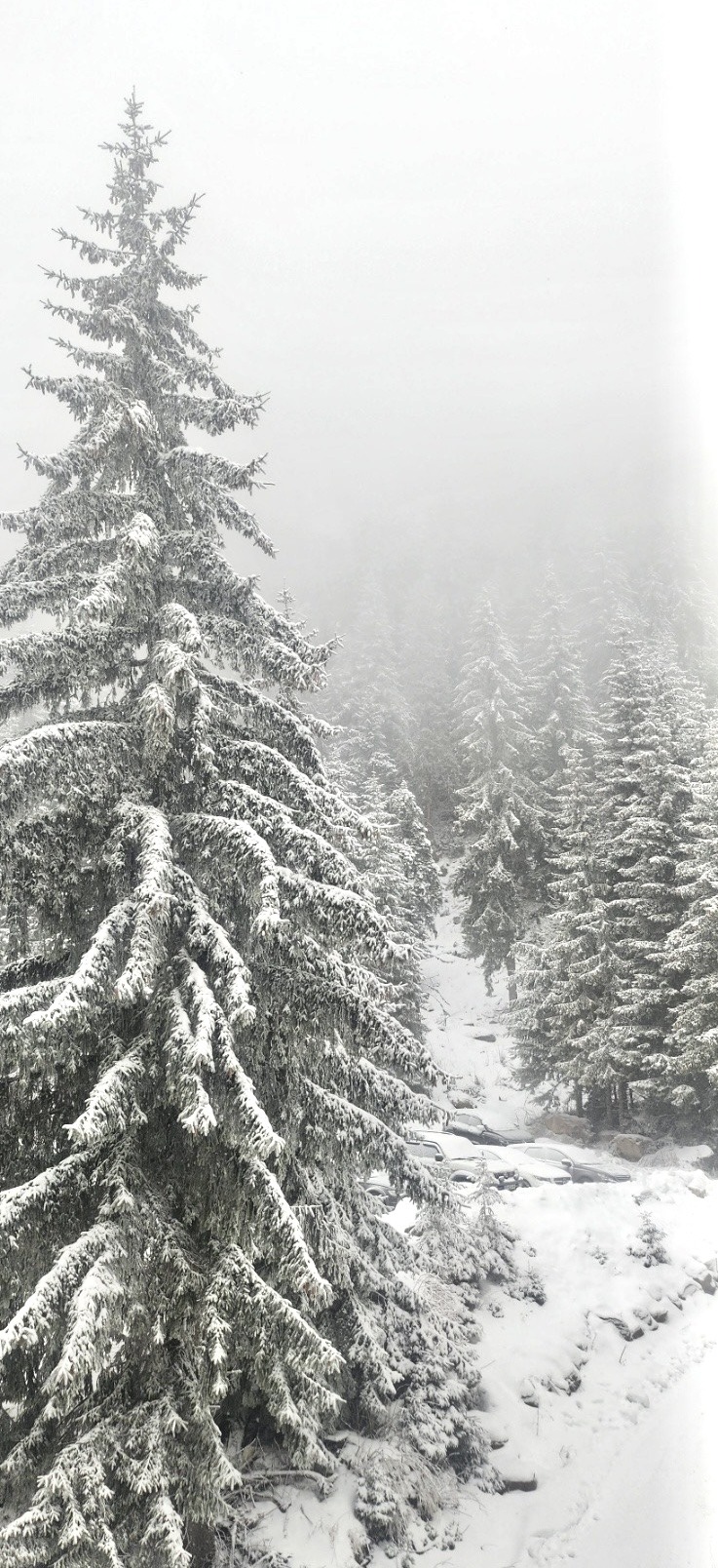 ������� 3-����� | Imot.bg � ����������� 14