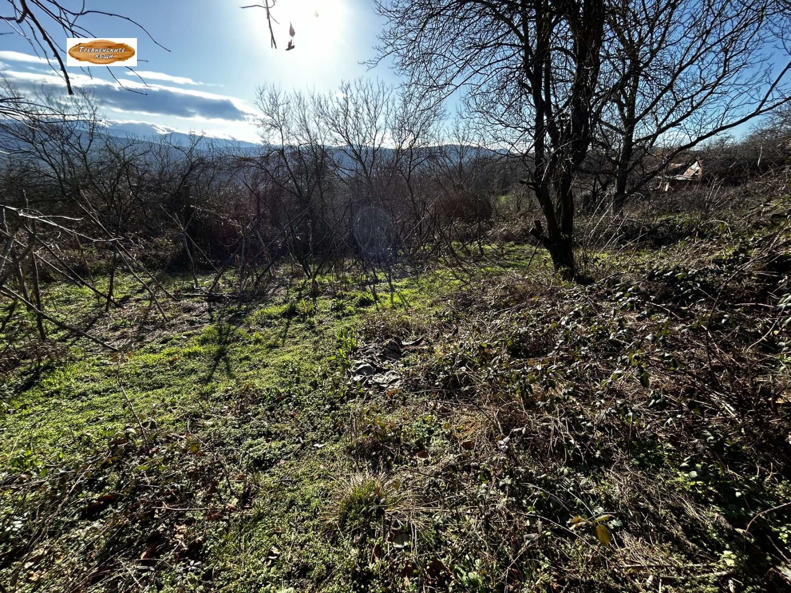 ������� ���� | Imot.bg � ����������� 7