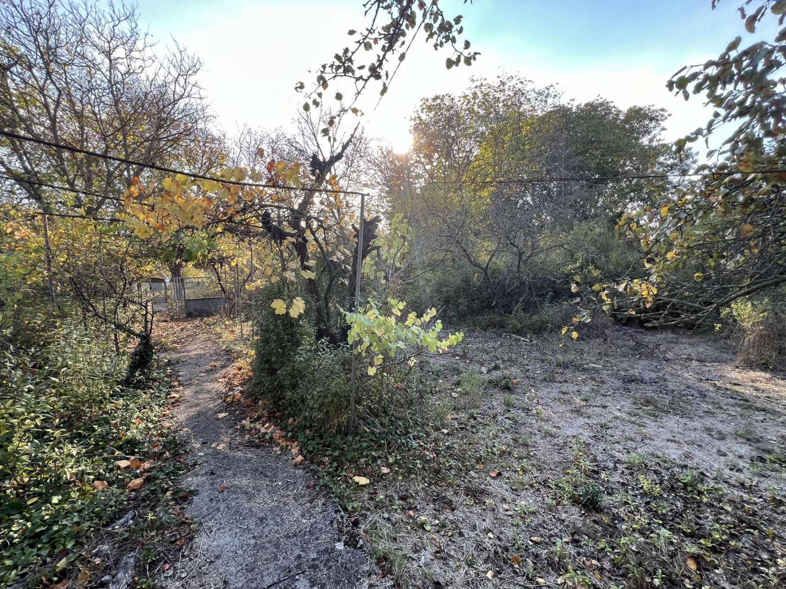 ������� ���� | Imot.bg � ����������� 10