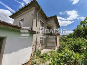 ������ ������� ����