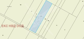 ����� ������� ���������� ����,�. ��������, ������ �������