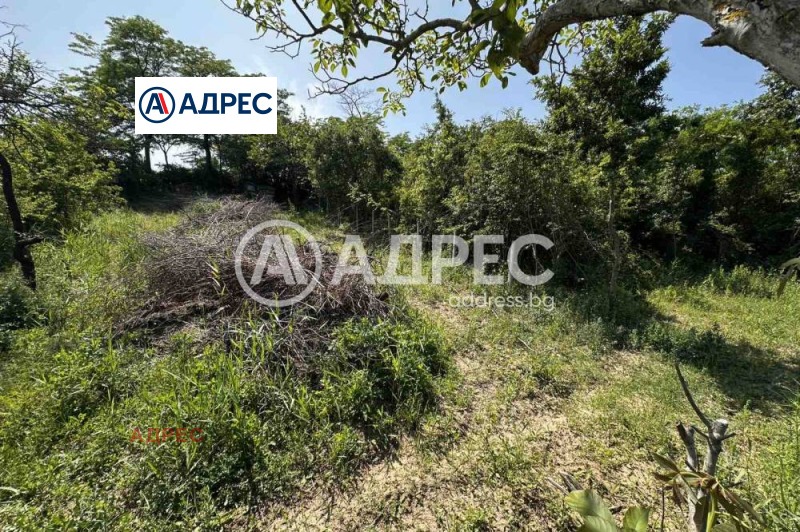 Na prodej  Spiknutí Varna , m-t Borovec - jug , 719 m2 | 65362792