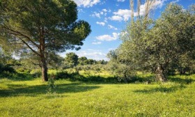 ������� ���� | Imot.bg � ����� ������ 11