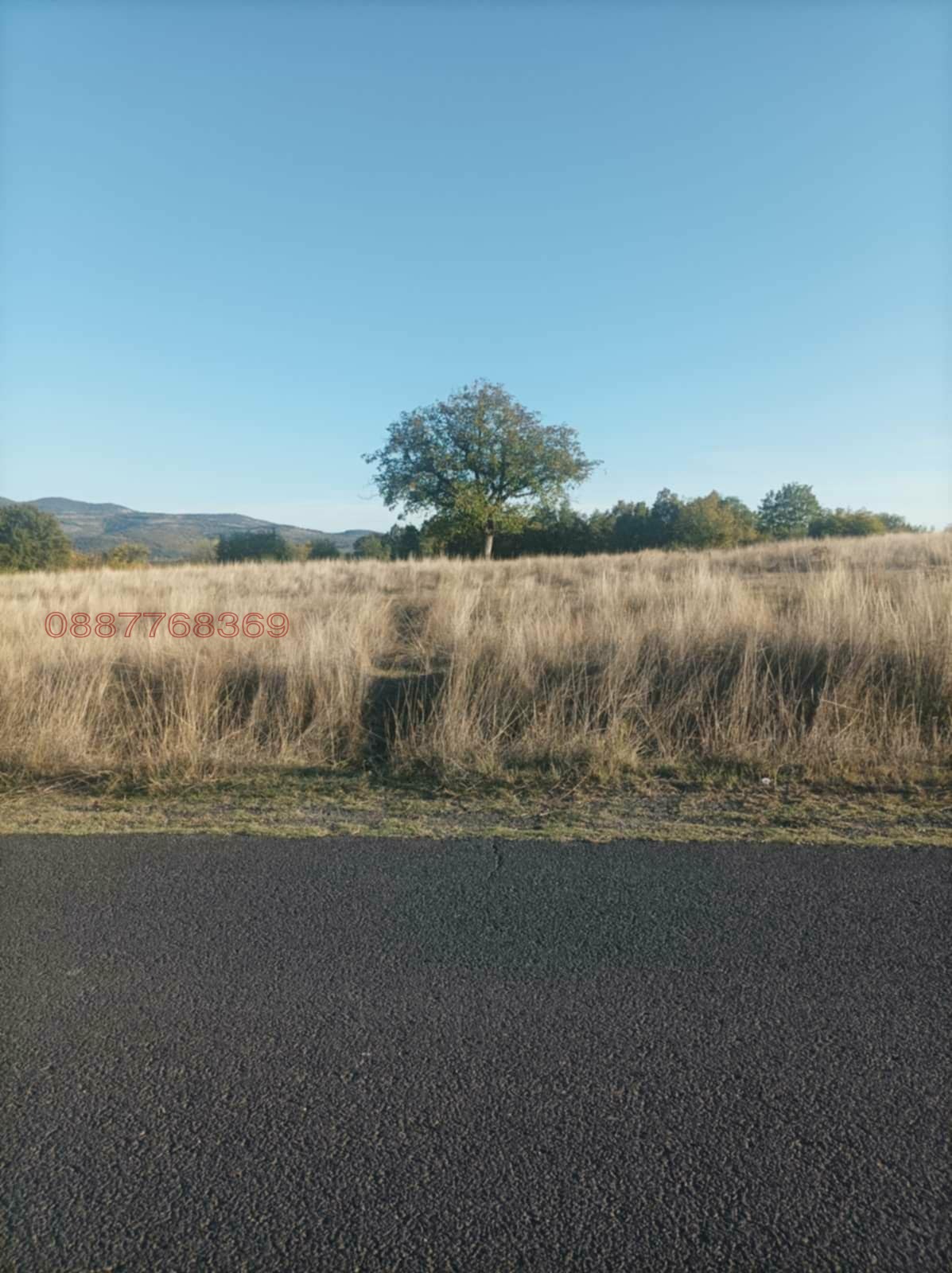 ������� ���������� ���� | Imot.bg � ����������� 1