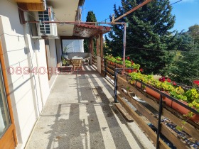 ����� ������� ����,���� �����, �-� �����������