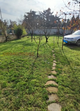 ����� ������� ����,���� �����, �-� �����������