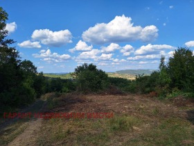 Plot Vlaychovtsi, region Gabrovo 1