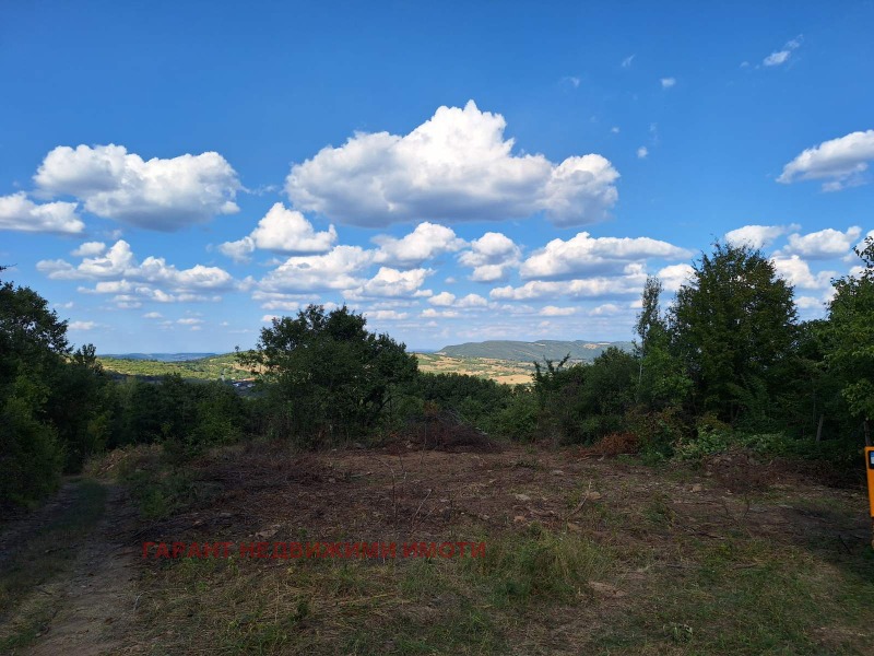 For Sale  Plot region Gabrovo , Vlaychovtsi , 9900 sq.m | 24410851 - image [2]