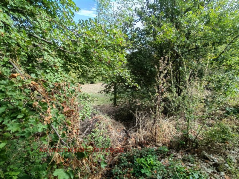 Na prodej  Spiknutí Sofia , Bankja , 2278 m2 | 68744306 - obraz [5]