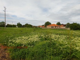 In vendita Complotto