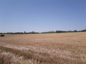 Продажба на земеделски земи в област Велико Търново - изображение 2 