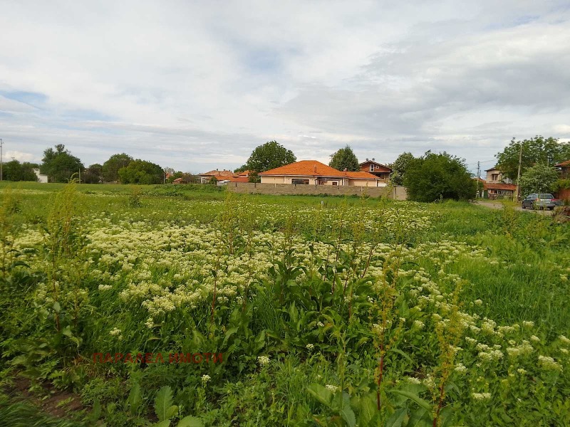 Продава  Парцел област Пловдив , с. Крумово , 1247 кв.м | 13376688 - изображение [2]