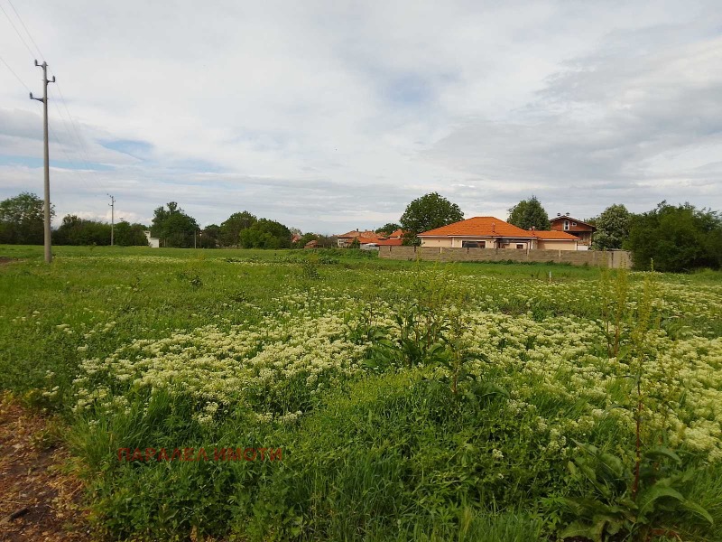 Продава  Парцел област Пловдив , с. Крумово , 1247 кв.м | 13376688