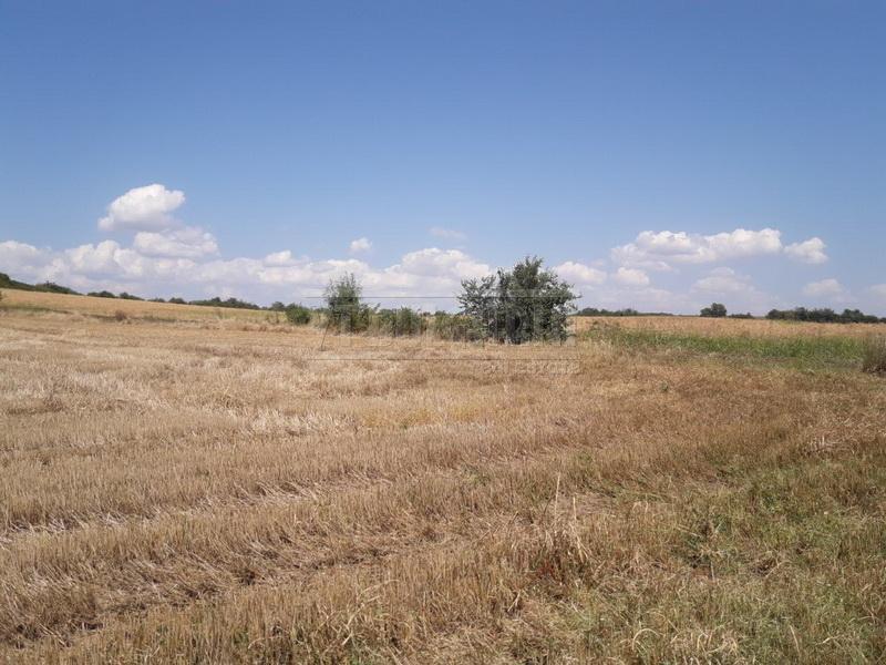 Продава  Земеделска земя област Велико Търново , с. Добри дял , 10 дка | 22924998 - изображение [3]