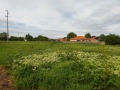 Продава ПАРЦЕЛ, област Пловдив, с. Крумово • 99000 € • 69513694 — Holmes.bg