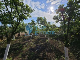 Hus Krusheto, region Veliko Tarnovo 16