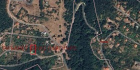 ������ ������� ������