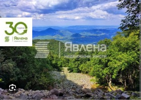 ����� ������� ������,�. ����������, ������ �������