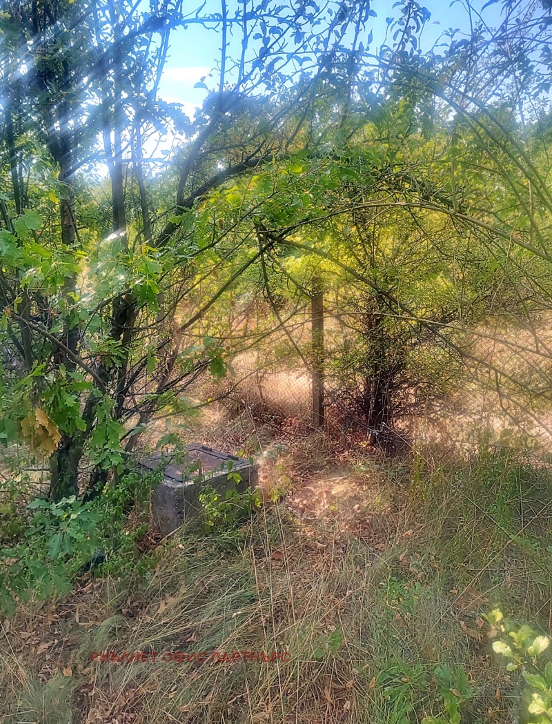 Продава ПАРЦЕЛ, с. Ръжана, област София област, снимка 4 - Парцели - 52800209