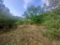 Продава ПАРЦЕЛ, с. Ръжана, област София област, снимка 4