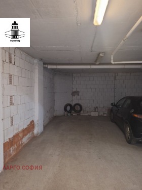 ����� ������� ����������,���� �����, ���������� ����