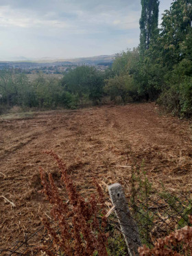 Plot Mogiliche, Pernik 3