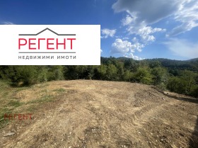 ������ ������� ������