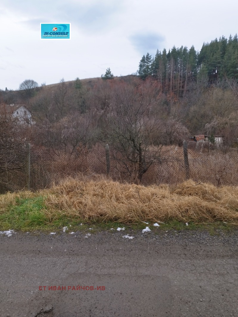 Продава ПАРЦЕЛ, с. Тополница, област Кюстендил, снимка 4 - Парцели - 53228794