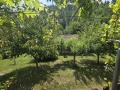 Продава КЪЩА, с. Лява река, област Стара Загора, снимка 6