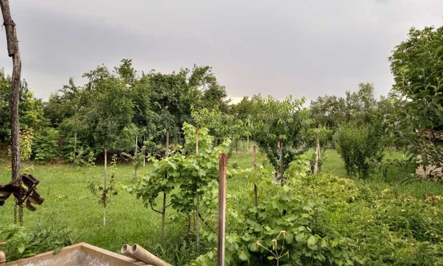 ������� ���� | Imot.bg � ����������� 6