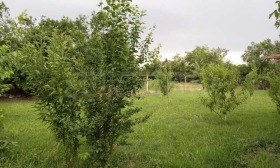 ������� ���� | Imot.bg � ����� ������ 10