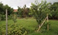 Продава КЪЩА, област Велико Търново, с. Павел • 22000 € / 43028.26 лв. • 54280596 9