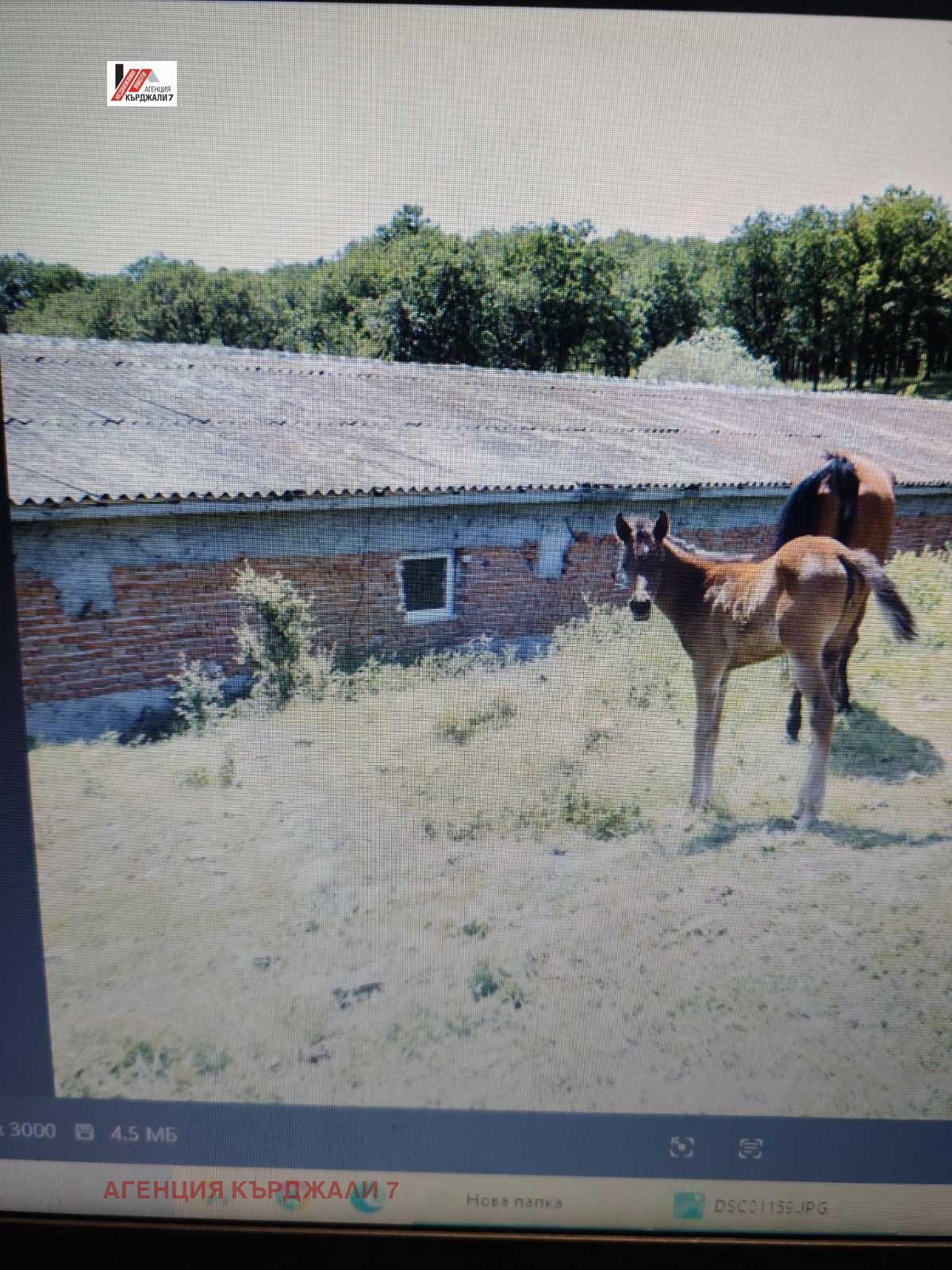 ������� ����. ��������� | Imot.bg � ����������� 3