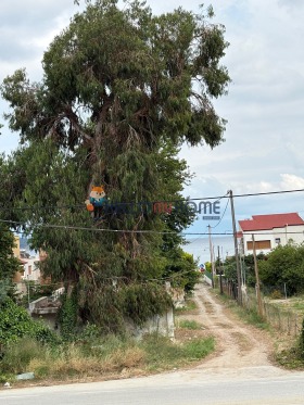 ������� ���� | Imot.bg � ����� ������ 10