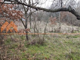 Plot m-t Rakitnika, Varna