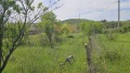Продава ПАРЦЕЛ, град Бургас, Банево • 16000 € • 27089485 — Holmes.bg