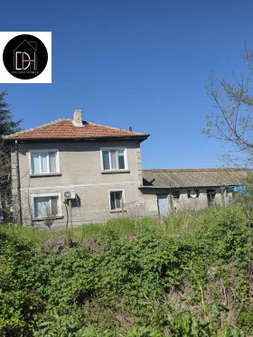 ������ ������� ����