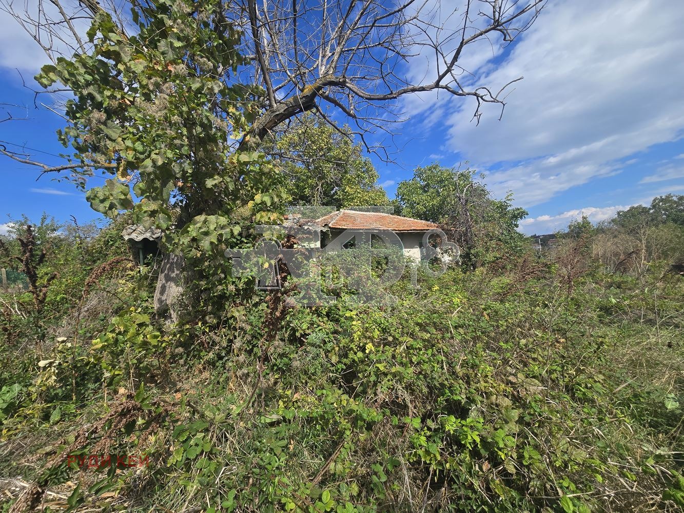 Продава ПАРЦЕЛ | Imot.bg — изображение 4