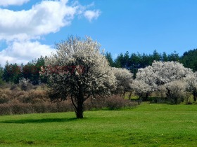 ����� ������� ���������� ����,�. ���������, ������ ������