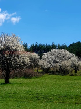 ������� ���������� ���� | Imot.bg � ����� ������ 3