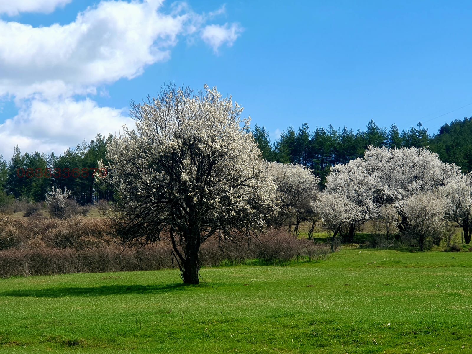 Продава ЗЕМЕДЕЛСКА ЗЕМЯ, с. Стефаново, област Перник