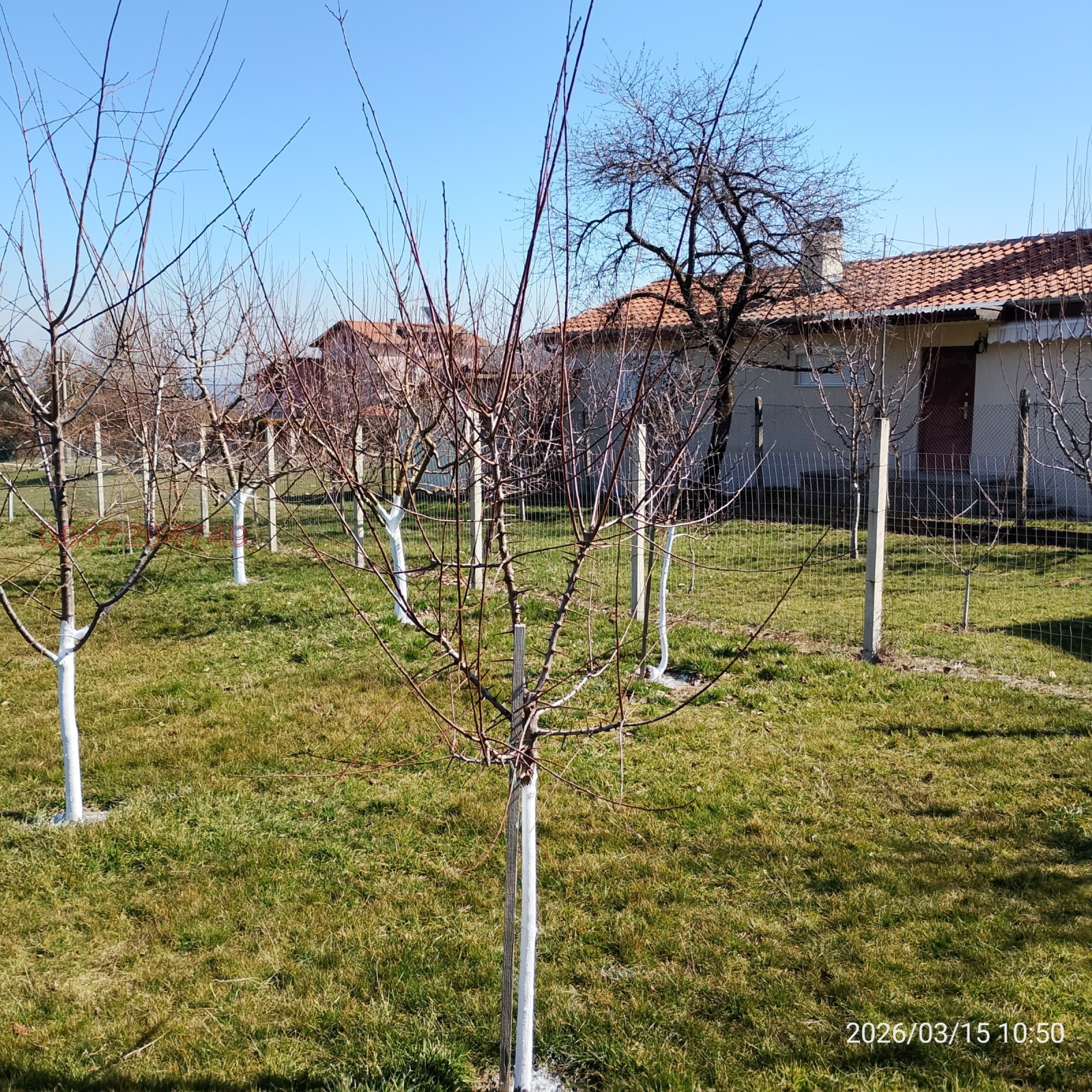 ������� ������ | Imot.bg � ����������� 5