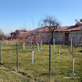 ������� ������ | Imot.bg � ����� ������ 8