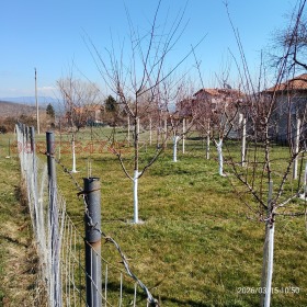 ������� ������ | Imot.bg � ����� ������ 7