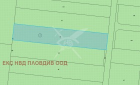 ����� ������� ������,�. ��������, ������ �������