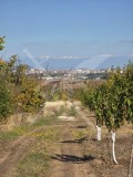 Продава ПАРЦЕЛ, с. Белащица, област Пловдив, снимка 2