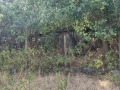 Продава ПАРЦЕЛ, област Варна, с. Изгрев • 99000 € • 76971812 — Holmes.bg
