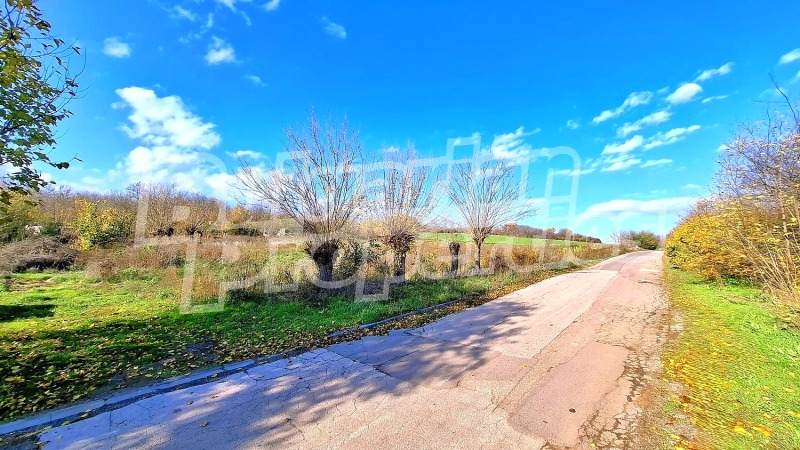 Продава ПАРЦЕЛ в област Стара Загора, с. Златна ливада - 5656 кв.м / 38 000 € » 74 321.54 лв., БЪЛГЕРИАН ПРОПЕРТИС
