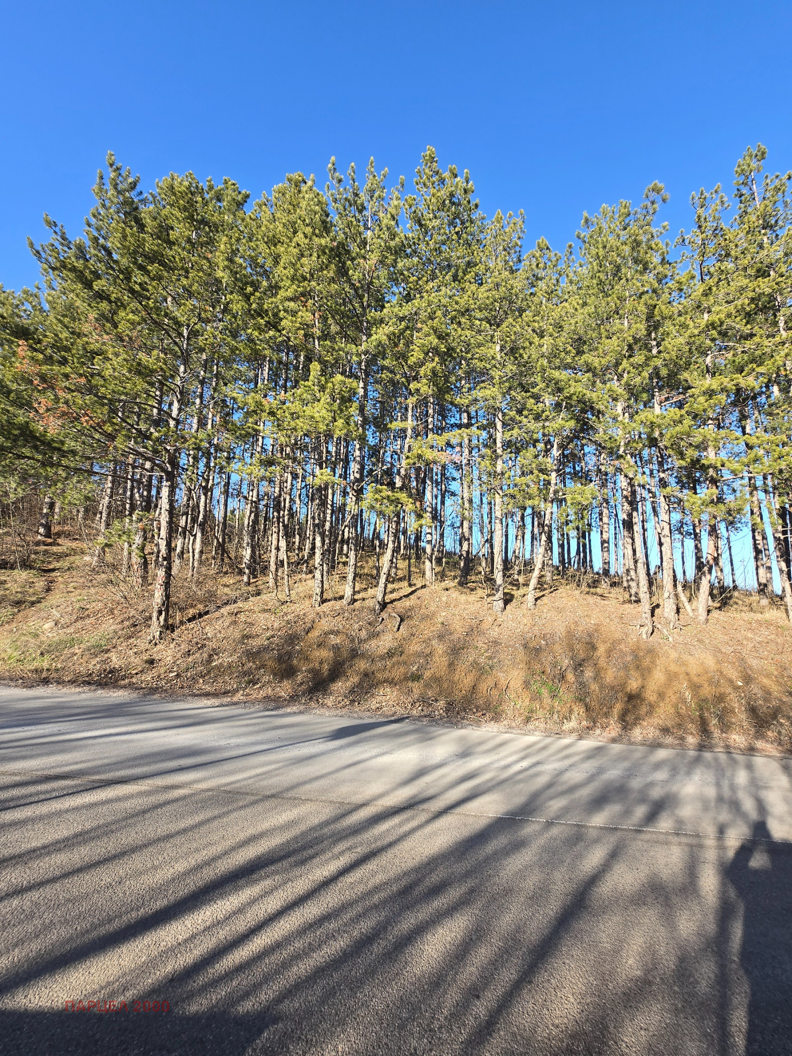 ������� ������ | Imot.bg � ����������� 1