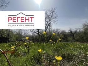 ����� ������� ����,�. ������, ������ �������